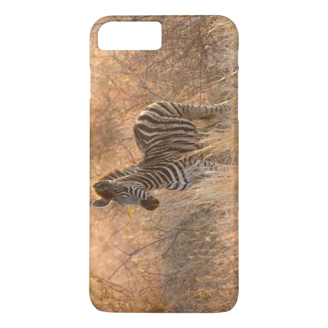 Funda De Case-Mate Para iPhone Cebolla de cebra en luz matutina (Reverso)