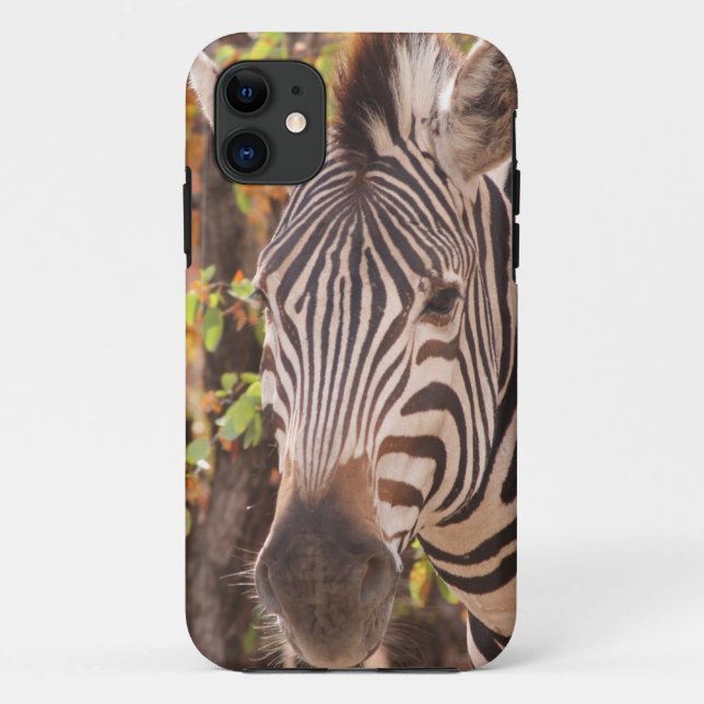 Funda De Case-Mate Para iPhone Cebra de Burchell africana con rayas en bushveld (Reverso)