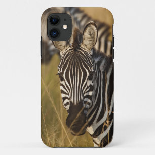 Funda Para iPhone 11 Cebra de Burchell en alta hierba de verano, Masai