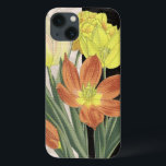 title_seo2 Centro II<br><div class="desc">Floral</div>