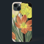 title_seo2 Centro II<br><div class="desc">Floral</div>