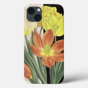 title_seo2 Centro II