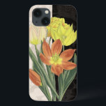 title_seo2 Centro II<br><div class="desc">Floral</div>