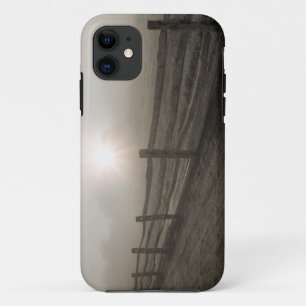 Funda Para iPhone 11 Cerca y resplandor solar a través de la niebla