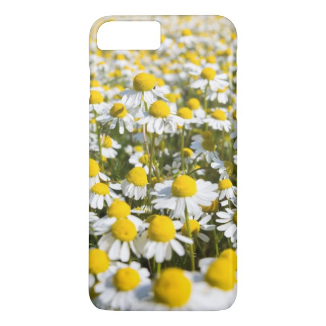 Funda De Case-Mate Para iPhone Cerco de la flor de Chamomile, Hungría (Reverso)