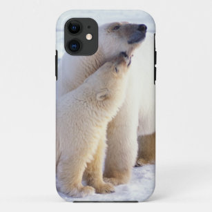 Funda Para iPhone 11 Cerda del oso polar con el cachorro, hielo de