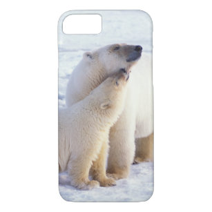 Funda Para iPhone 8/7 Cerda del oso polar con el cachorro, hielo de