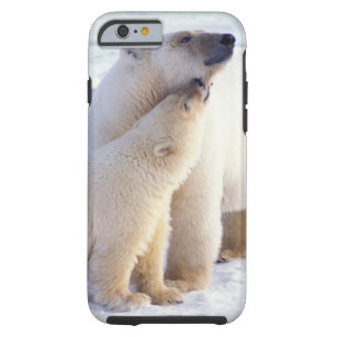 Funda Resistente Para iPhone 6 Cerda del oso polar con el cachorro, hielo de