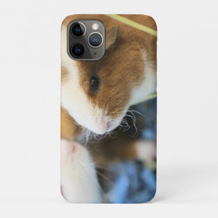 Funda Para iPhone 11 Pro Cerdo