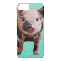 Cerdo Cute - Pisos Azules y Rosa