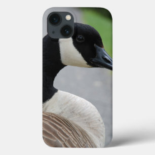 Funda Para iPhone 13 Cerdo de Canadá