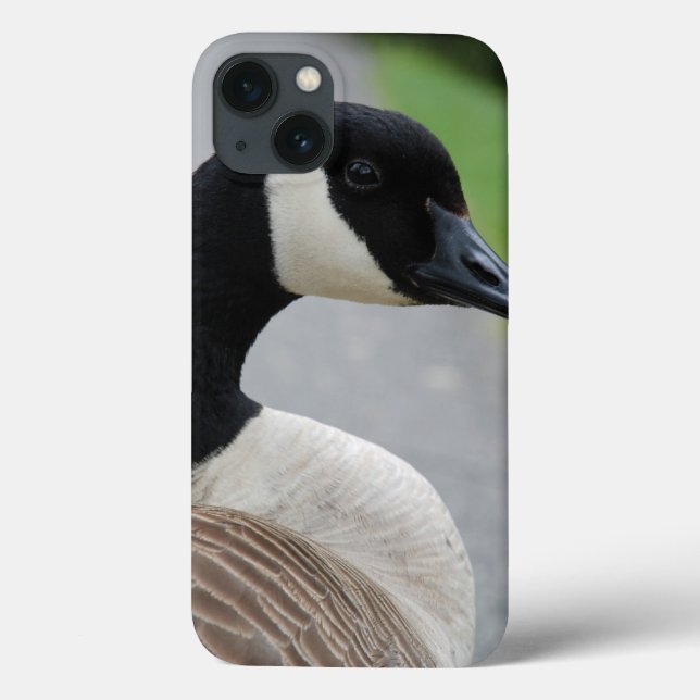 Funda De Case-Mate Para iPhone Cerdo de Canadá (Reverso)