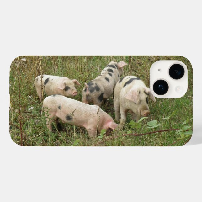 Funda De Case-Mate Para iPhone Cerdos en un campo (Reverso  (Horizontal))