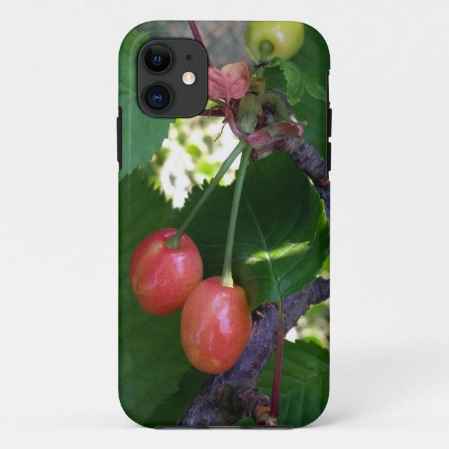 Funda De Case-Mate Para iPhone Cerezas volviéndose rojas (Reverso)