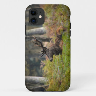 Funda Para iPhone 11 Cerf en forêt de fontainebleau