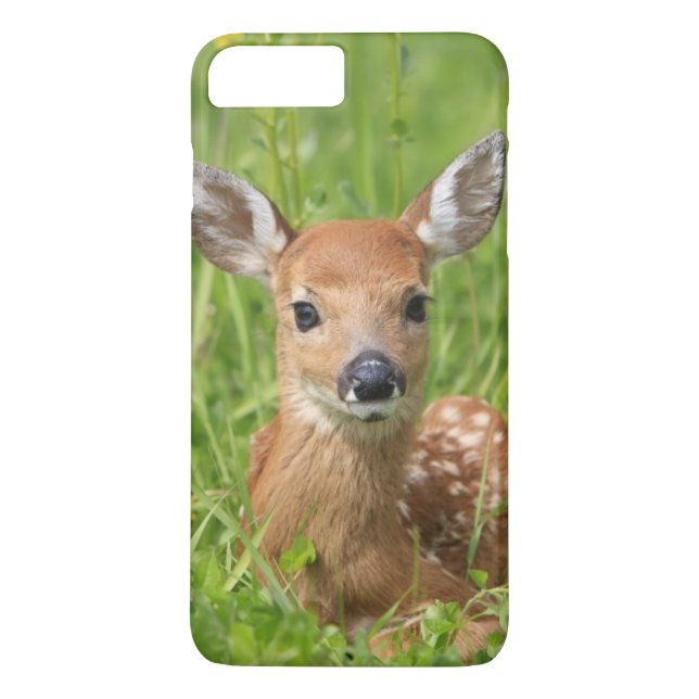 Funda De Case-Mate Para iPhone Cervatillo (Reverso)