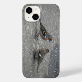 title_seo2 Chaffinch Feed Me