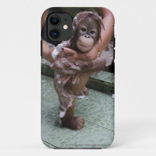 title_seo2 Chaqueta huérfana OFI del orangután
