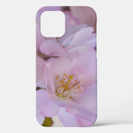 Funda Para iPhone 12 Cherry Blossoms Caja de regalo Funda-Mate iPhone E