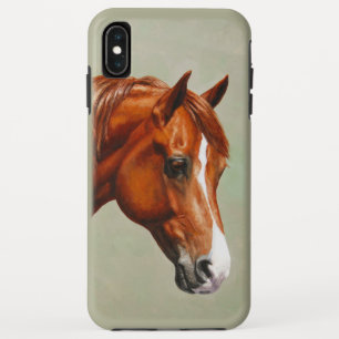 title_seo2 Chestnut Morgan Horse