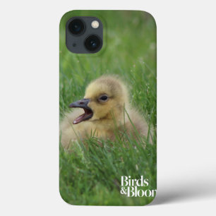 Funda Para iPhone 13 Chick de ganso canadiense