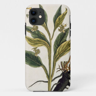 Funda Para iPhone 11 Chiles rojos (grabado del color)