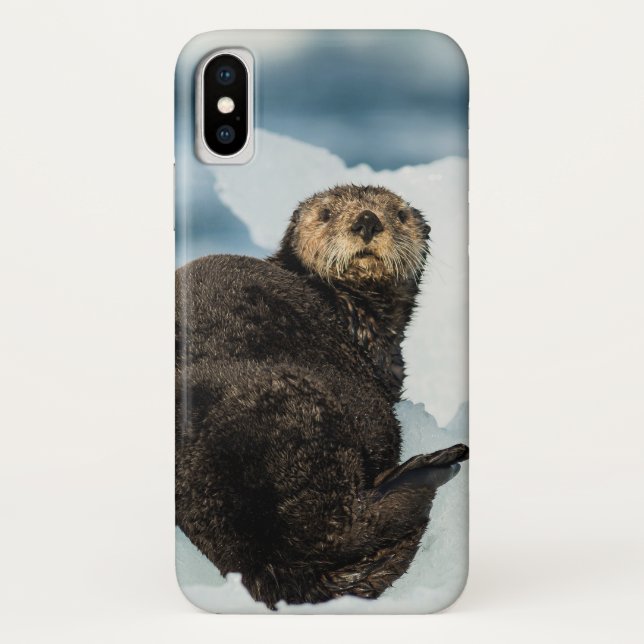 Funda De Case-Mate Para iPhone Chilly Sea Otter (Reverso)