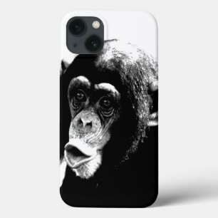 title_seo2 Chimpancé blanco negro