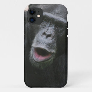 title_seo2 Chimpancé lindo