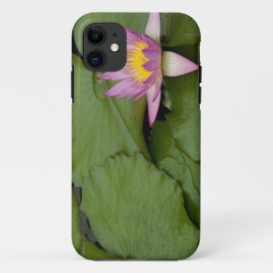 Funda Para iPhone 11 China, Hong Kong, Nuevos Territorios. Chi Lin