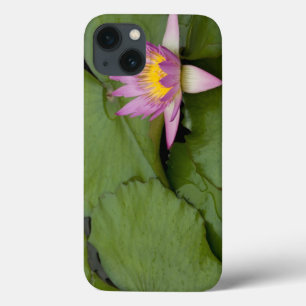 Funda Para iPhone 13 China, Hong Kong, Nuevos Territorios. Chi Lin