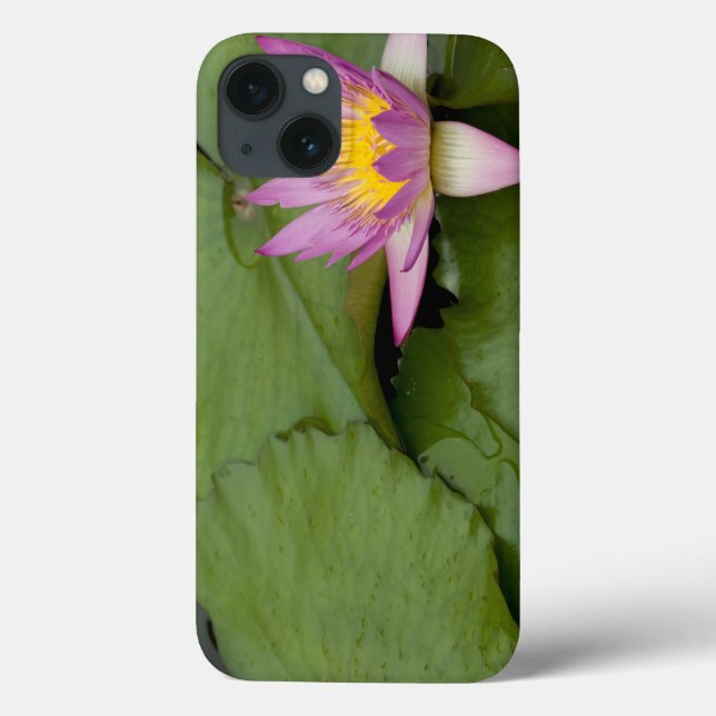 Funda De Case-Mate Para iPhone China, Hong Kong, Nuevos Territorios. Chi Lin (Reverso)