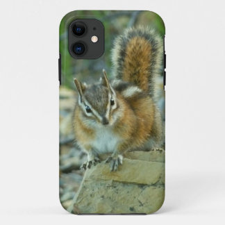 title_seo2 Chipmunk en el Parque Nacional Glaciar