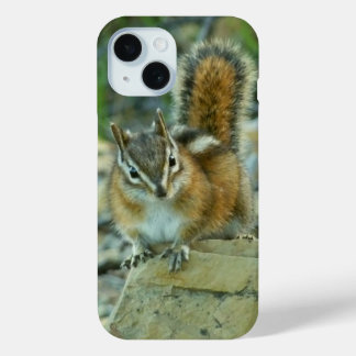 title_seo2 Chipmunk en el Parque Nacional Glaciar