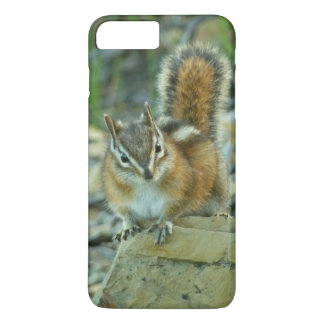 title_seo2 Chipmunk en el Parque Nacional Glaciar