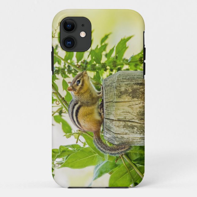 Funda De Case-Mate Para iPhone Chipmunk en un post sobre la cerca (Reverso)