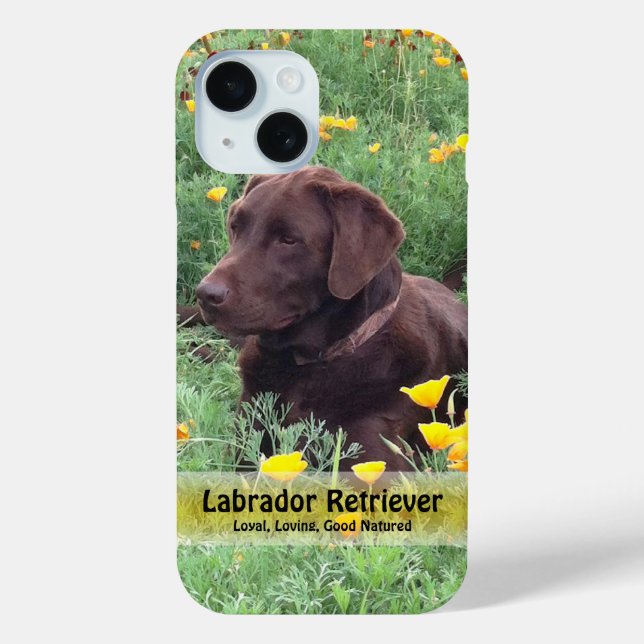 Funda De Case-Mate Para iPhone Chocolate Lab en California Poppy Patch (Reverso )