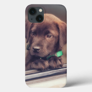 Funda Para iPhone 13 Chocolate Labrador Puppy In Car