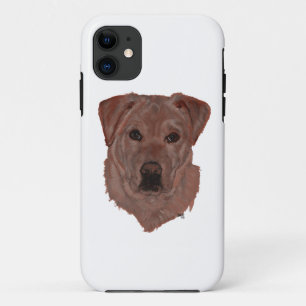 title_seo2 Cholcolate Brown Labrador Retriever