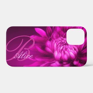 title_seo2 Chrysanthemum púrpura plum nombre personalizado e 