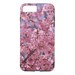 title_seo2 Cielo de flores de cerezo rosado de Sakura