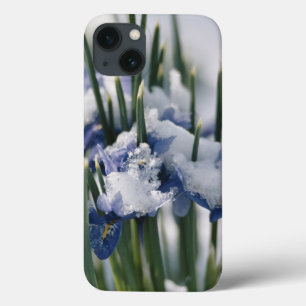 Funda Para iPhone 13 Cierre de Iris