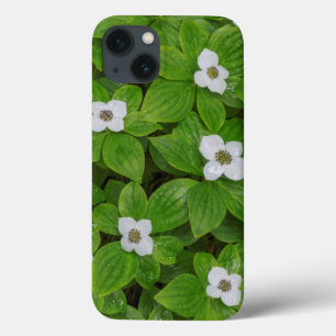 Funda Para iPhone 13 Cierre de la baya con flores blancas
