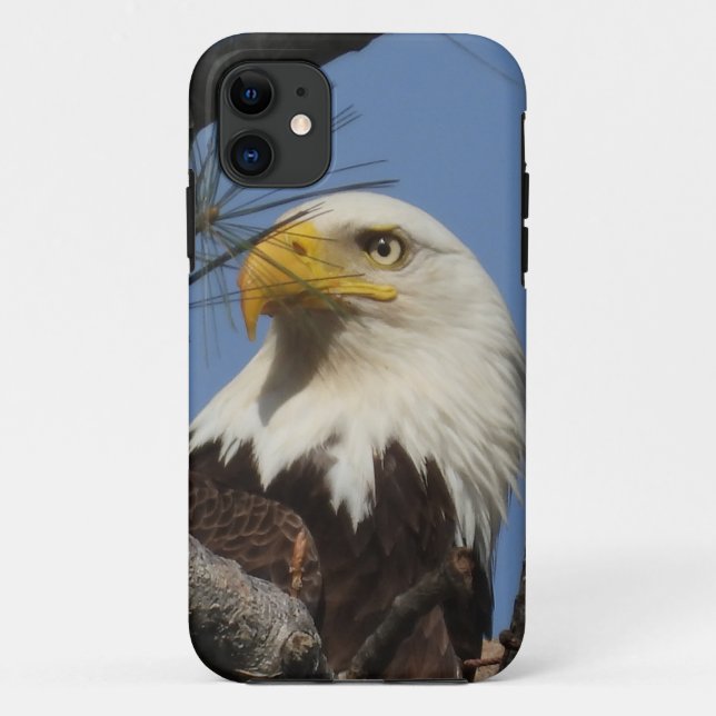 Funda De Case-Mate Para iPhone Cierre de la cabeza del águila calva (Reverso)