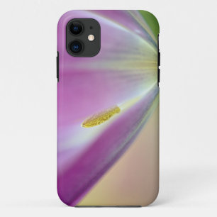 title_seo2 Cierre de la flor de los tulipanos, Kuekenhof 3