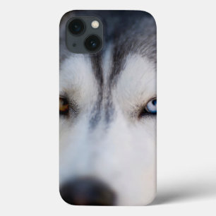 Funda Para iPhone 13 Cierre de la vista estática de un Malamute de Alas