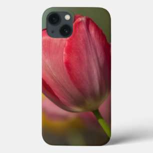 Funda Para iPhone 13 Cierre de tulipanes rojos y amarillos en el jardín