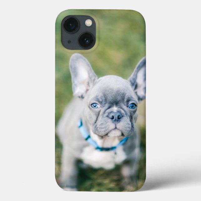 Funda De Case-Mate Para iPhone Cierre de un Bulldog francés (Reverso)