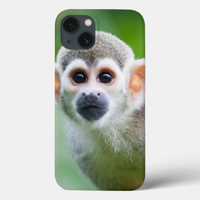 Funda De Case-Mate Para iPhone Cierre de un mono ardilla común (Reverso)