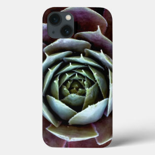 Funda Para iPhone 13 Cierre Purple Succulent